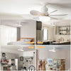 40W LED Ceiling Fan Light